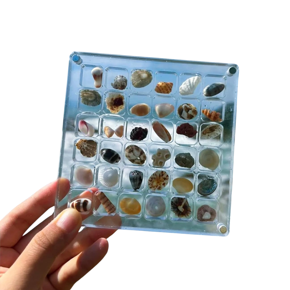 Zeeschatten | Opbevar dine havskatte med stil-zarada.dk